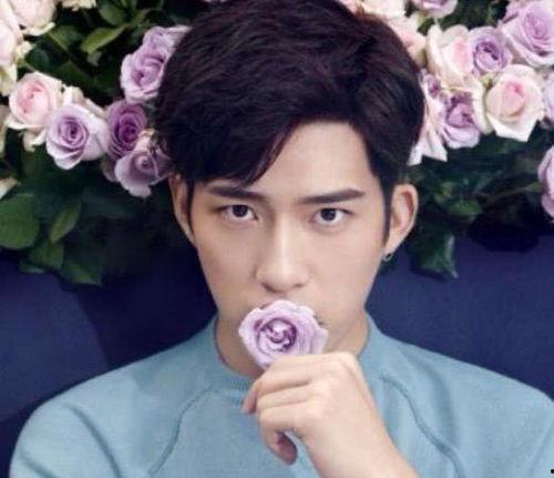 明星娱乐圈吃瓜节目推荐